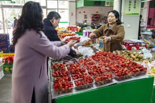 互聯(lián)網(wǎng)買(mǎi)菜風(fēng)潮下，實(shí)體農(nóng)貿(mào)市場(chǎng)為何依然不可或缺？